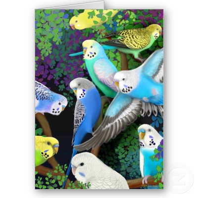 budgerigars_and_ferns_card-p137694604712378747bh2r3_400